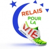 Relais pour la vie du Bas Rhin affiche resultat